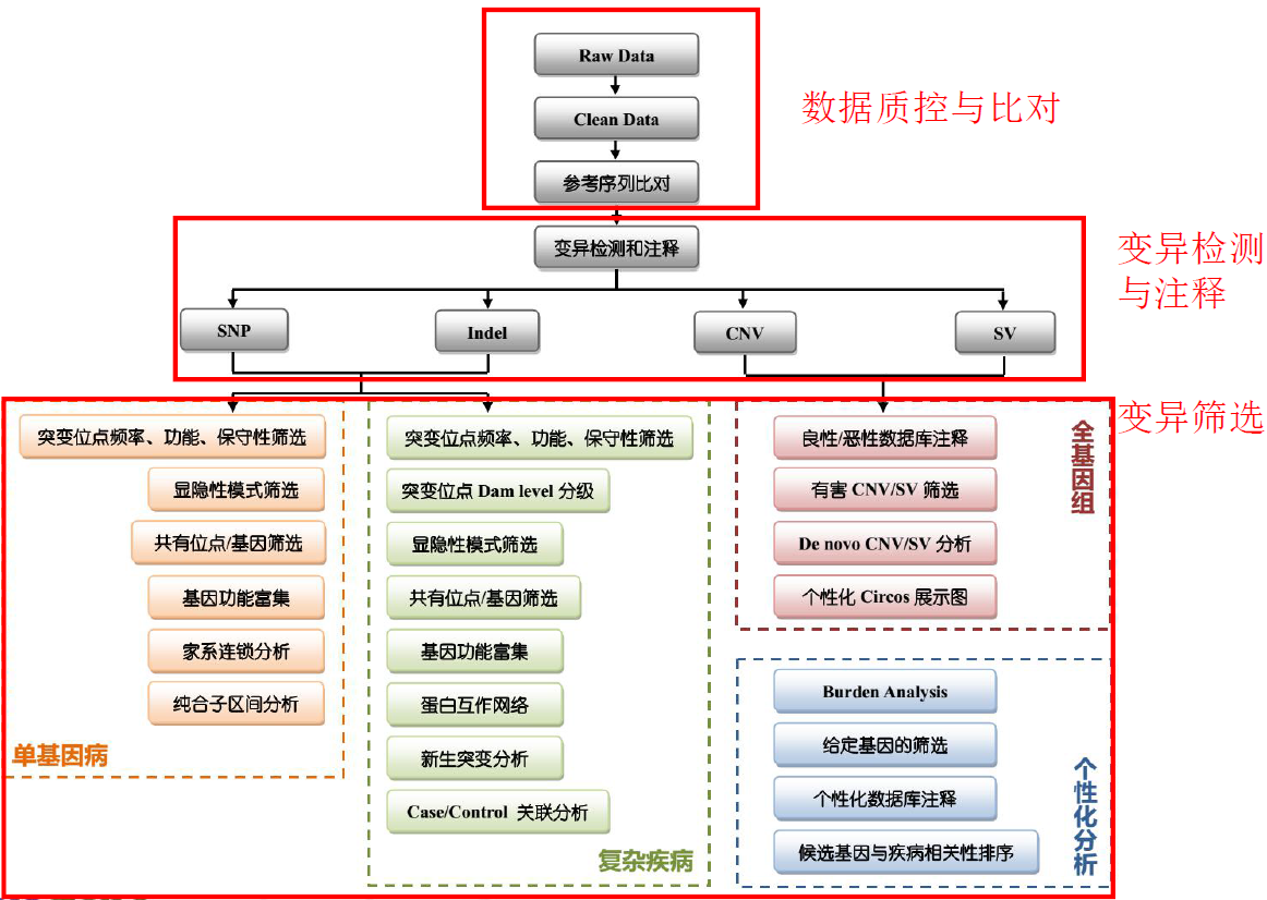 分析流程